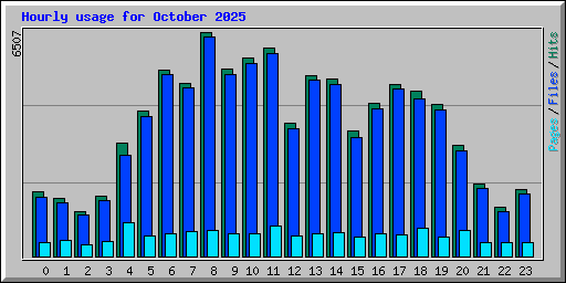 Hourly usage for October 2025
